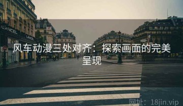 风车动漫三处对齐：探索画面的完美呈现